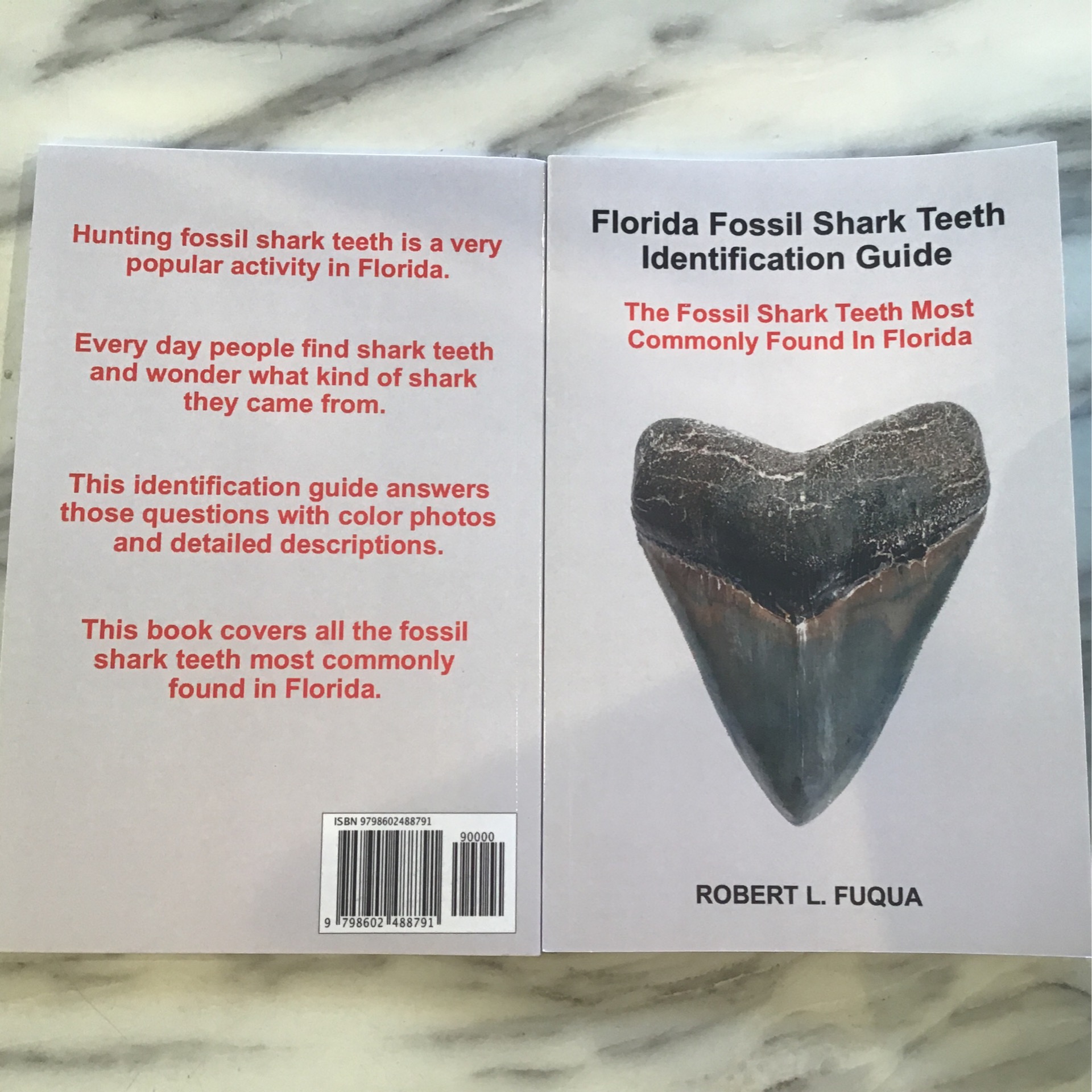 Florida Fossil Shark Tooth Identification Guide, Signed | Earth Treasures